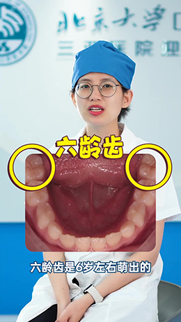 什么是六齡齒？